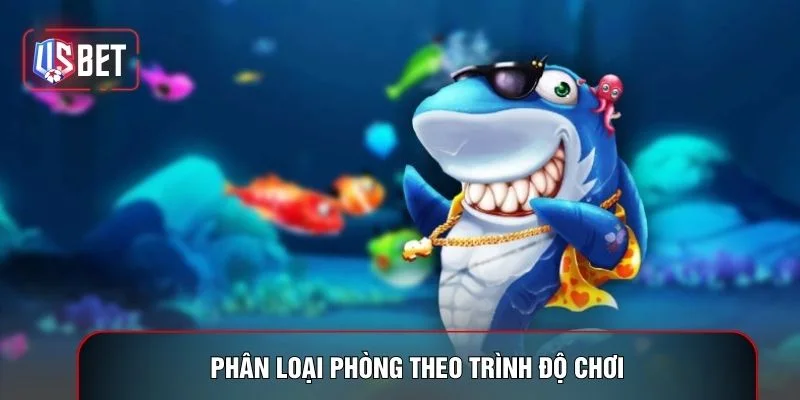 Phân loại phòng theo trình độ chơi