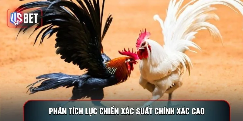 Phân tích lực chiến xác suất chính xác cao